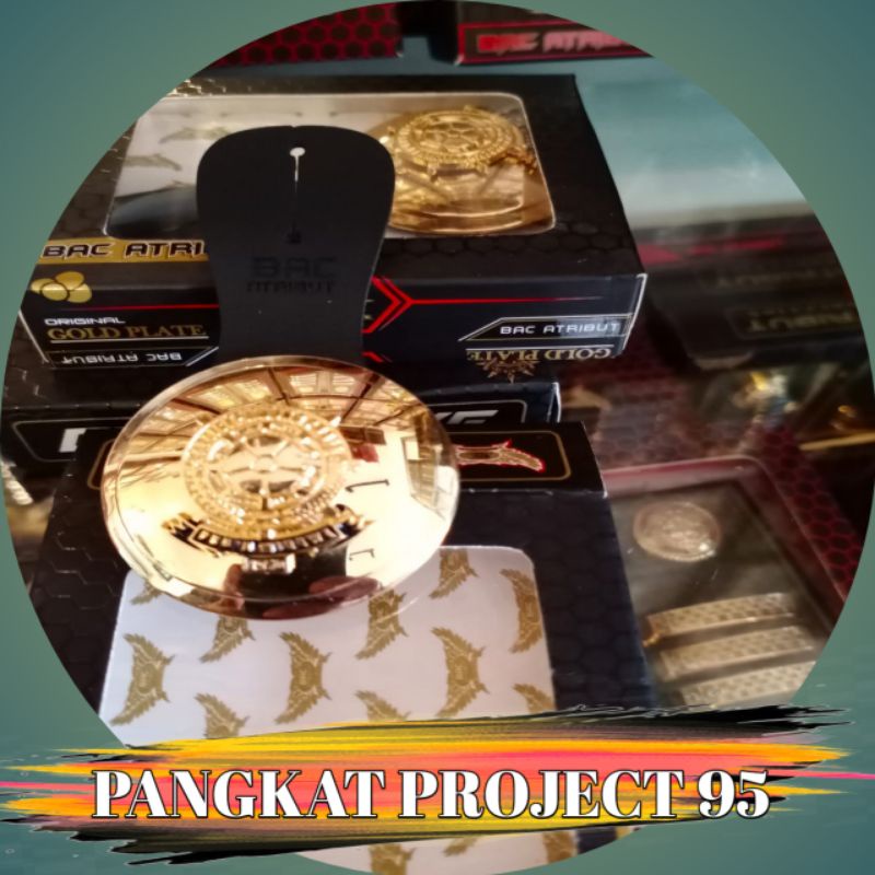 

TANDA JABATAN POL PP KASI ESELON 4 FULL GOLD