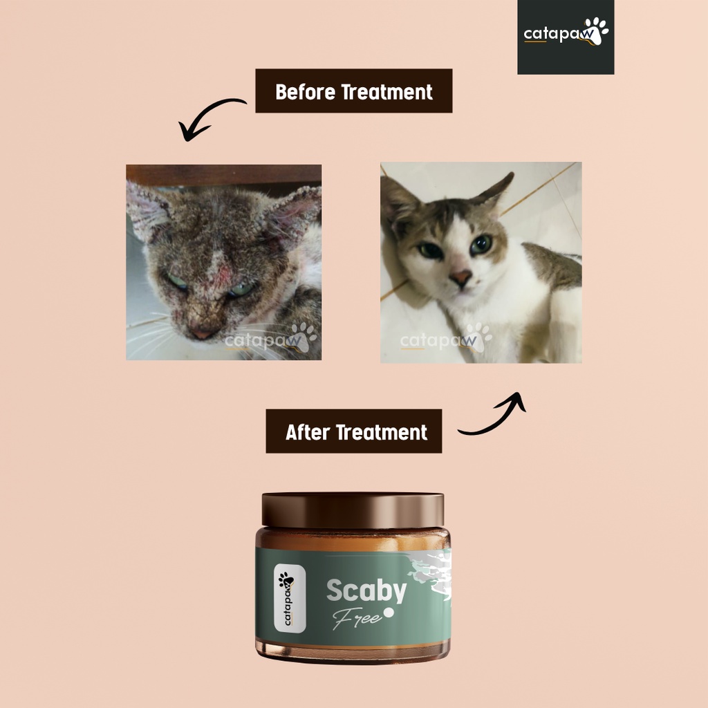 CATAPAW Salep Obat Scabies Kucing Anjing Gatal Gudik Koreng Ampuh