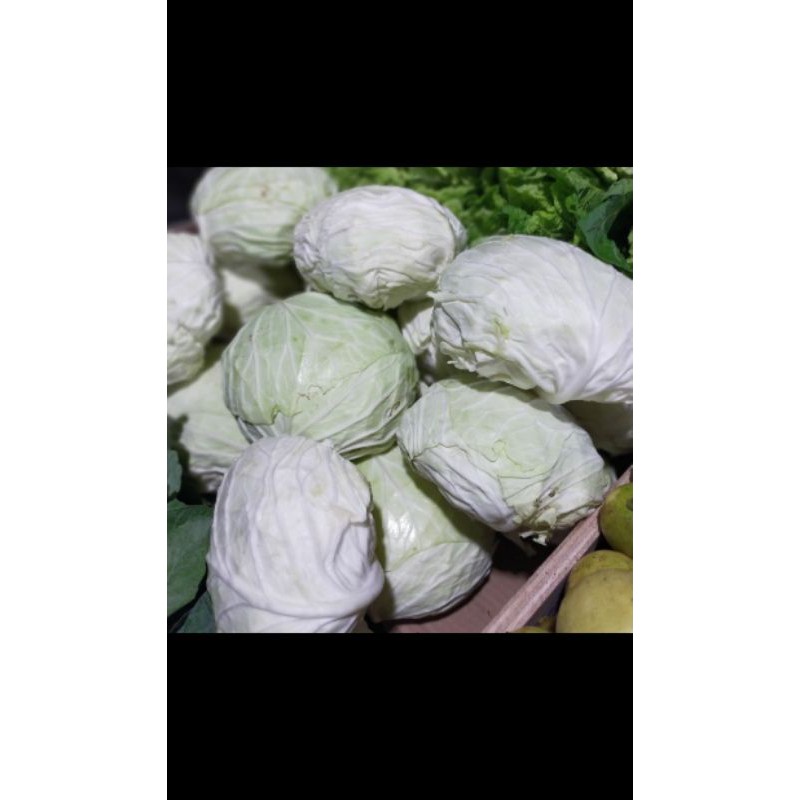 

KOL 500g