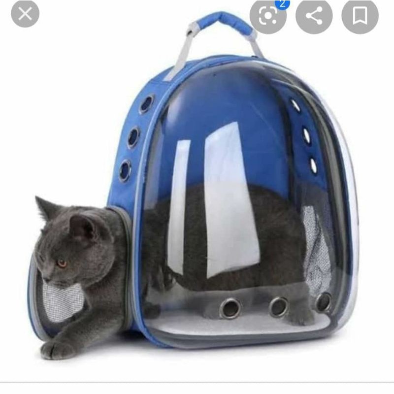 Tas kucing model astronot