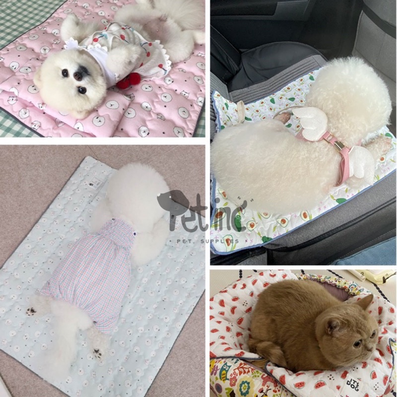 Itsdog cooling mat korea