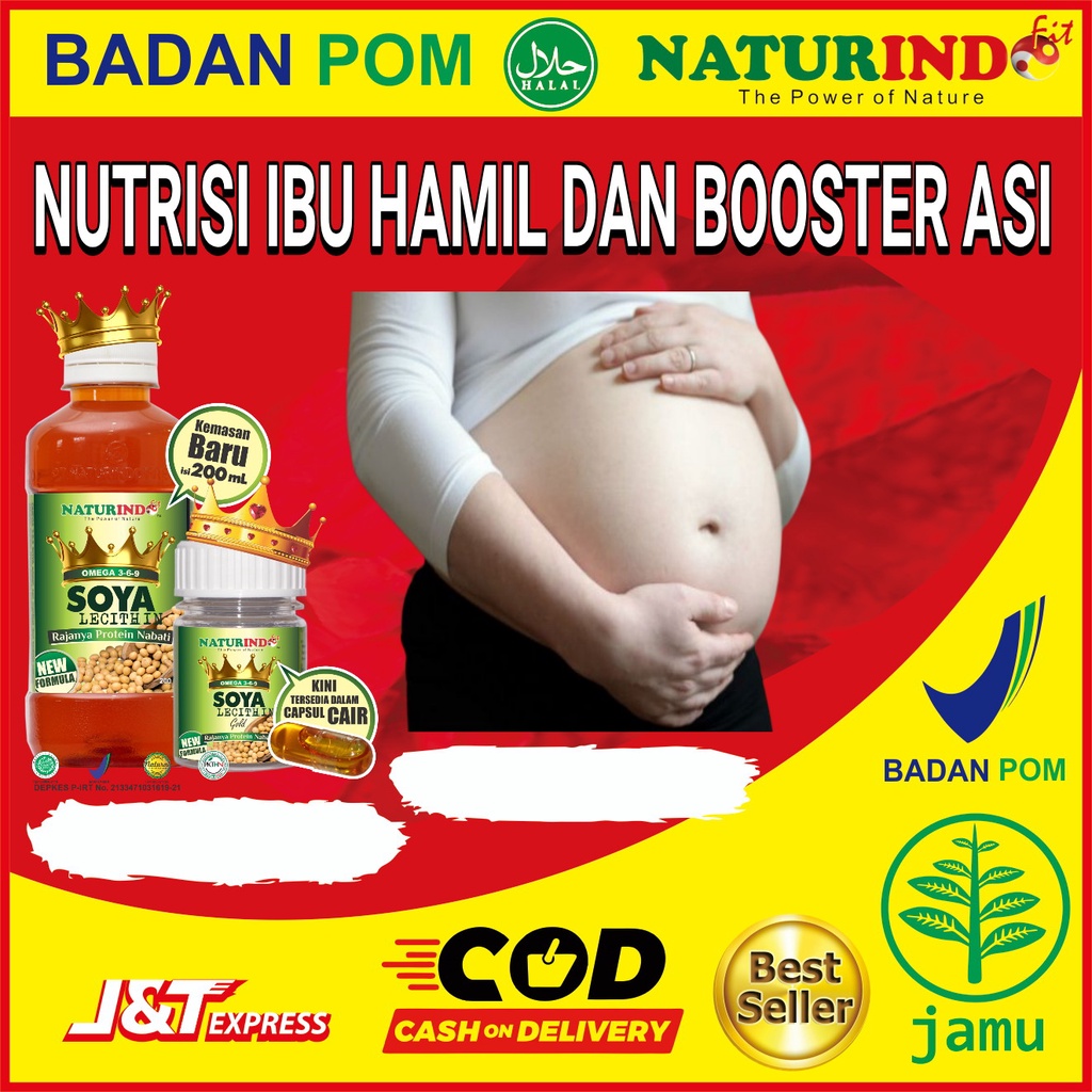 Nutrisi Ibu Hamil dan Booster Asi untuk Ibu Menyusui