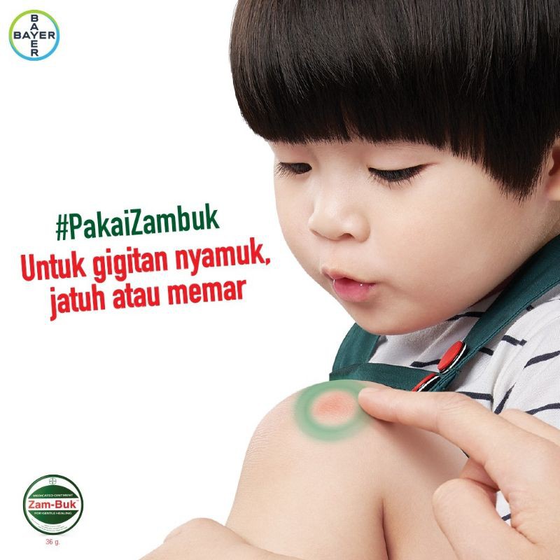 Zambuk 25gr Obat Memar 25 gr Salep Zam Buk 25g Bayer ORIGINAL