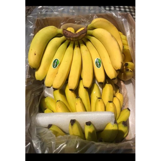 

pisang cavendisi segar