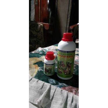 poc nasa dan harmonik