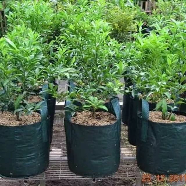 Planter bag 75 L Easy Grow Planter Bag 75L