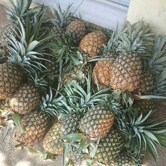 

Nanas