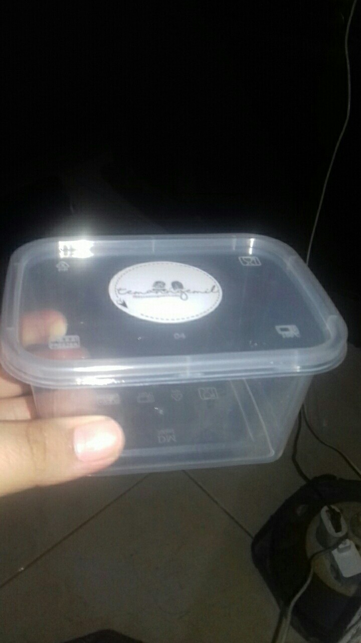 25pc 300ml Kotak Mini Rec + Tutup Thinwall Box Toples Plastik Kecil Food Grade 300 Ml Microwave Oven