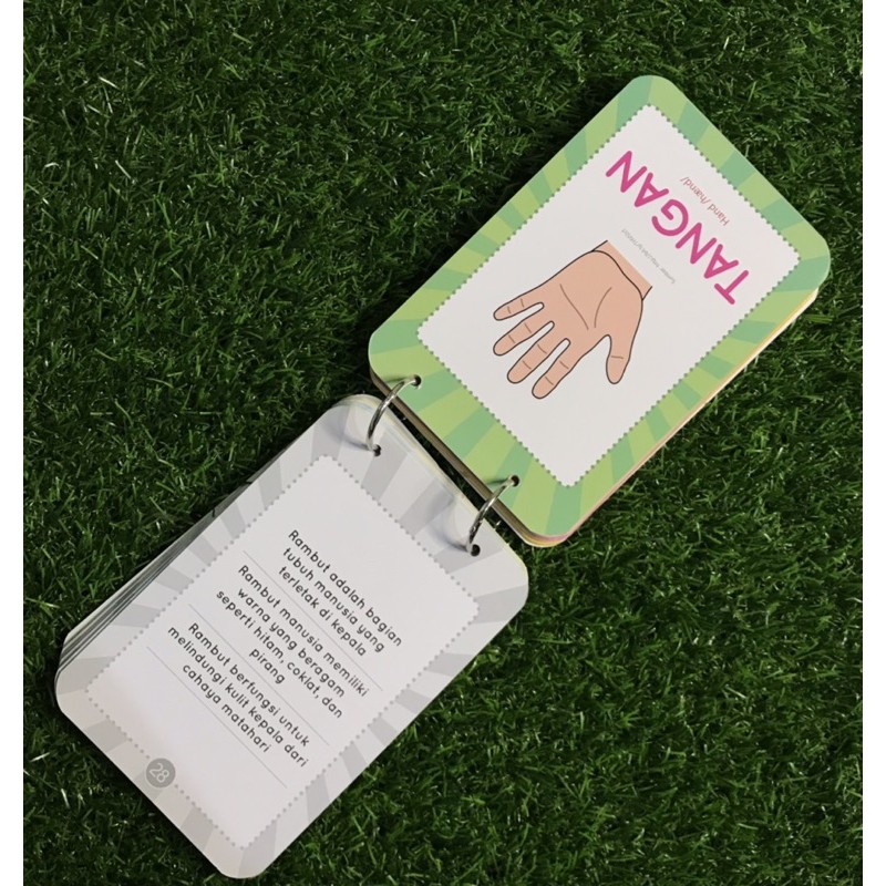 Charissa Publisher - Buku Anak Flash Card Bilingual ━ Genius Card Kosakata-6