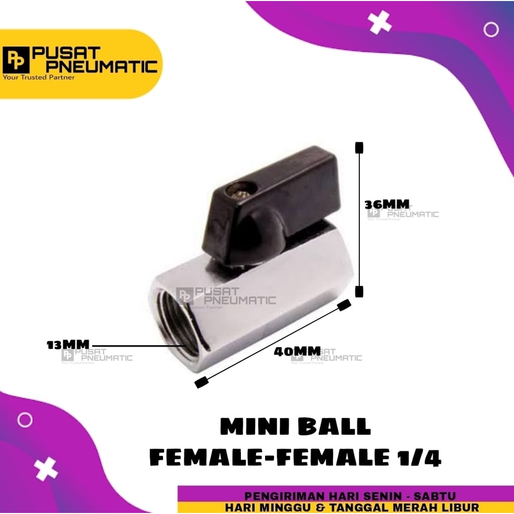 Mini Ball valve Female 1/4" inch Import Quality