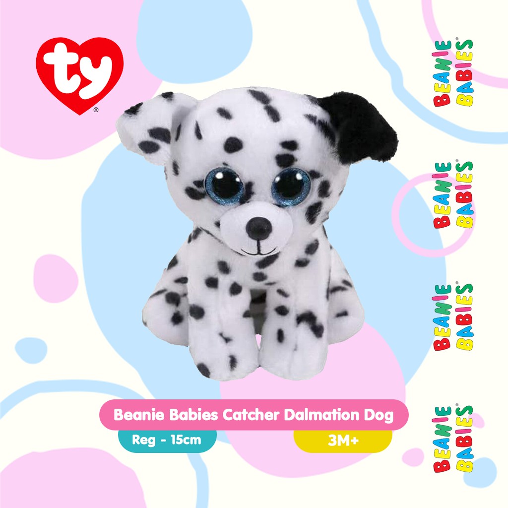 Jual Ty Toys Beanie Babies Catcher Dalmation Dog R - Boneka Guguk Anak  Indonesia|Shopee Indonesia