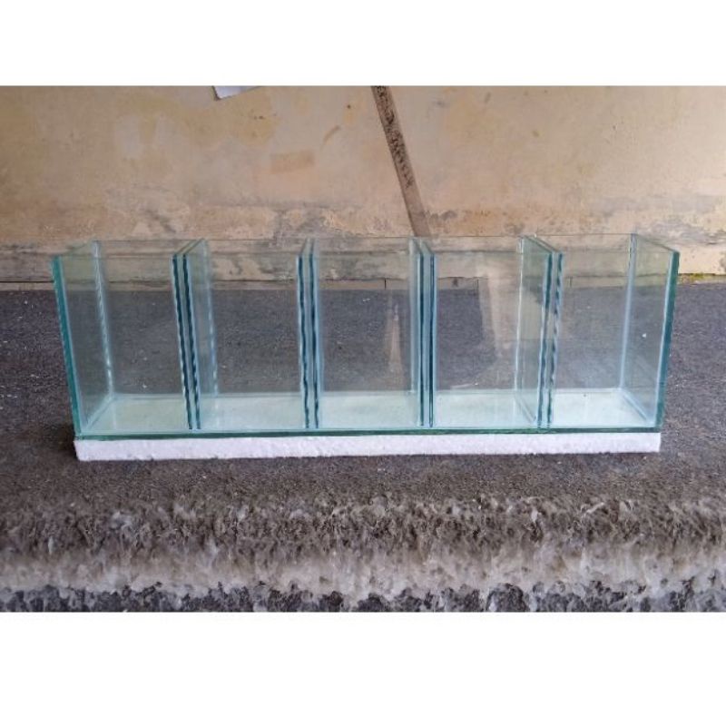 Soliter cupang sekat 5/5 kamar 5 50x10x15