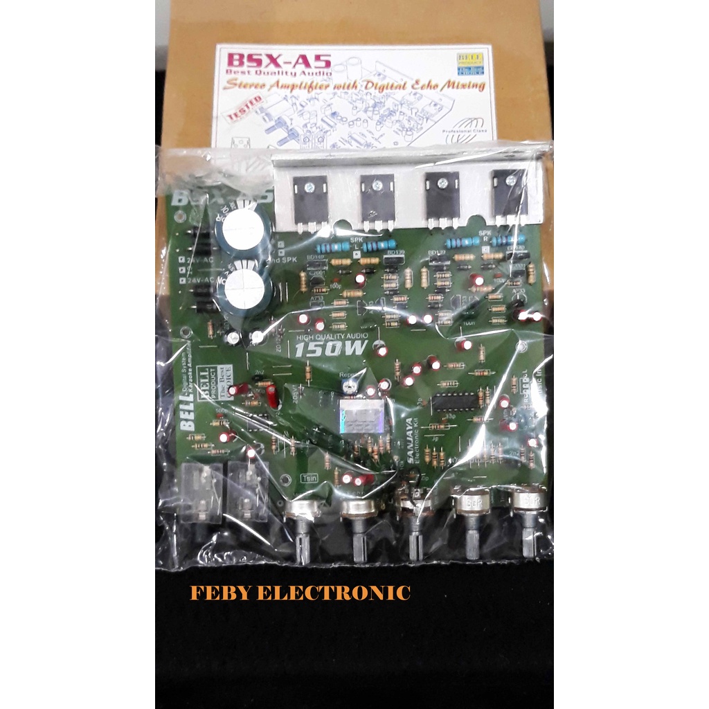 BSX A5 STEREO AMPLIFIER WITH DIGITAL ECHO MIXING