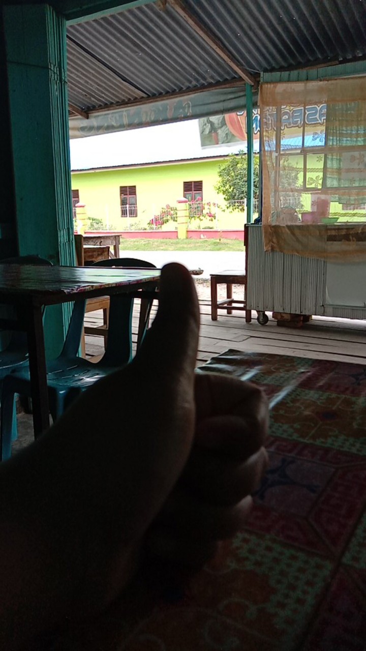 Kocokan Telur Stainless