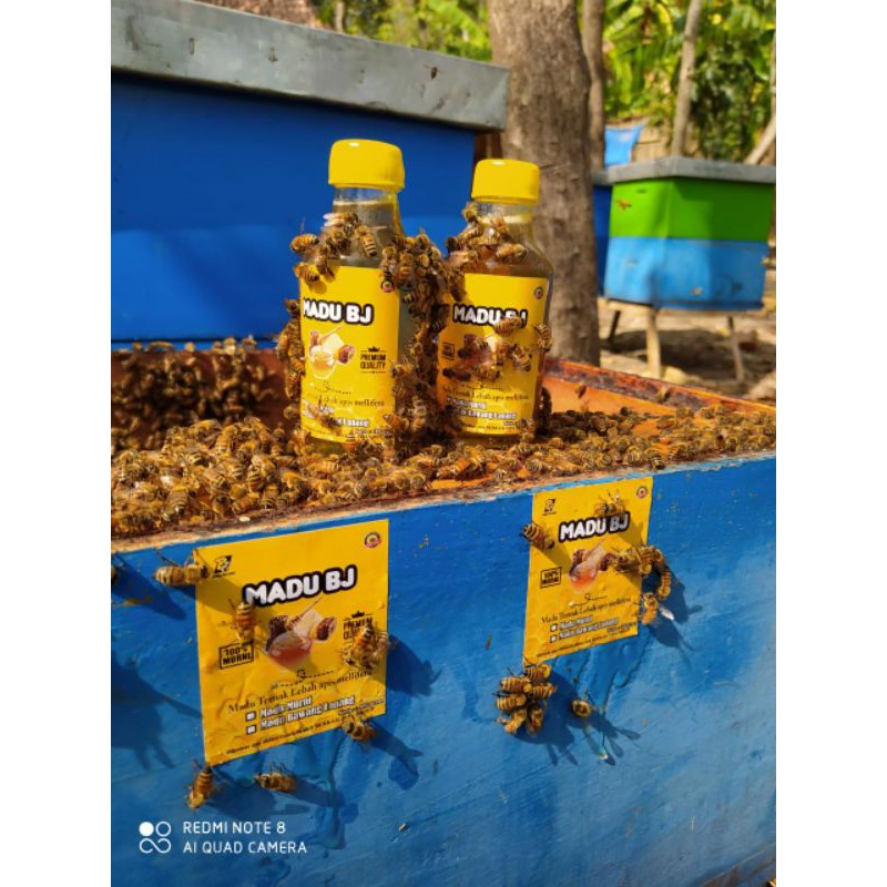 

Madubepollen