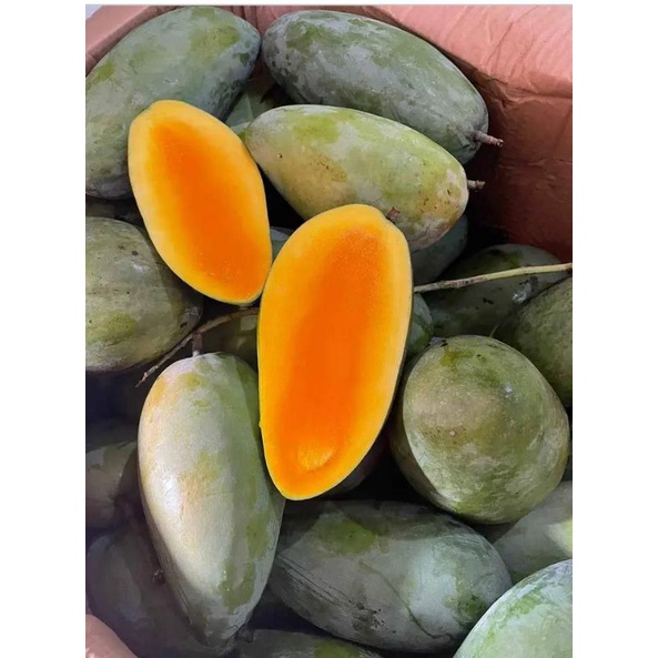 

MANGGA KIOJAY THAILAND 1KG DAGING TEBAL BIJI TIPIS