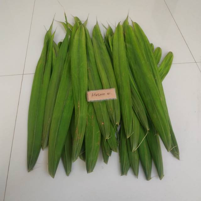 

HERBAL- Daun salak muda segar daun salak segar