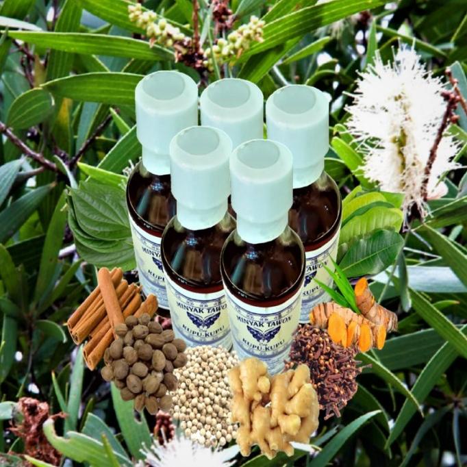 HOT PROMO Minyak Tawon Cap Kupu-Kupu (175 ml)