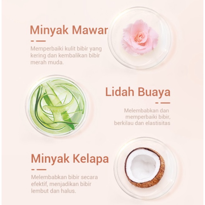 [BPOM] LANBENA Lip Mask [Aloe Vera | Coconut | Rose | Sugar]