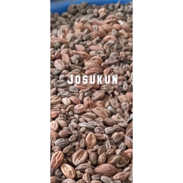 

Josukun 500gr - Herbal josukun / Jo sukun