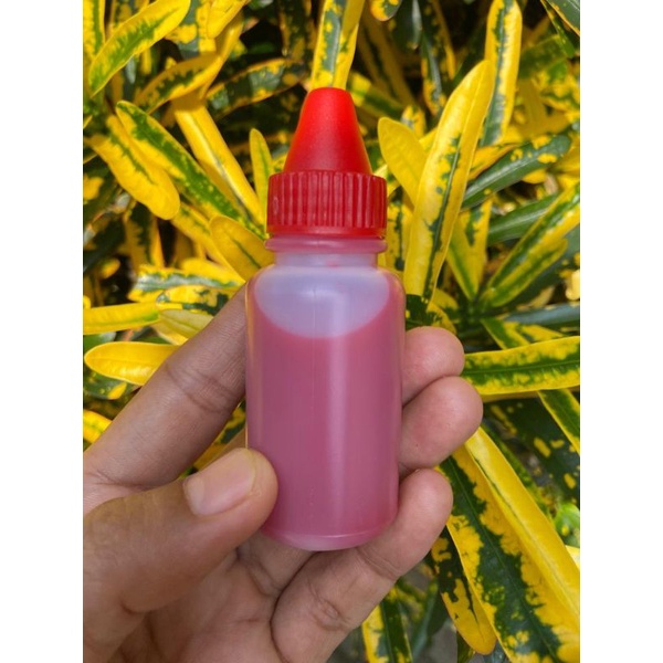 essen murni aroma buah-buahan