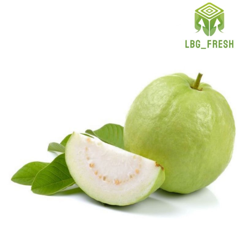 

Jambu Kristal 500-600gr