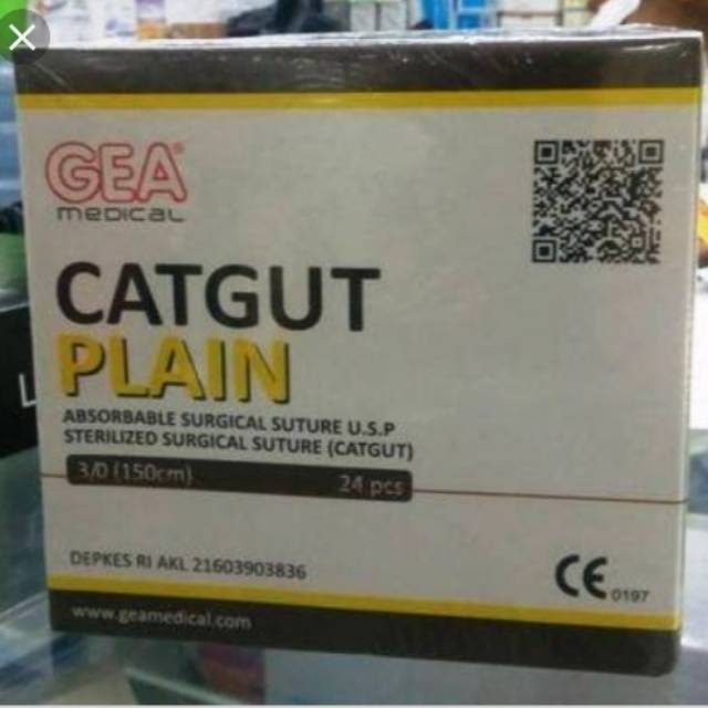 Catgut