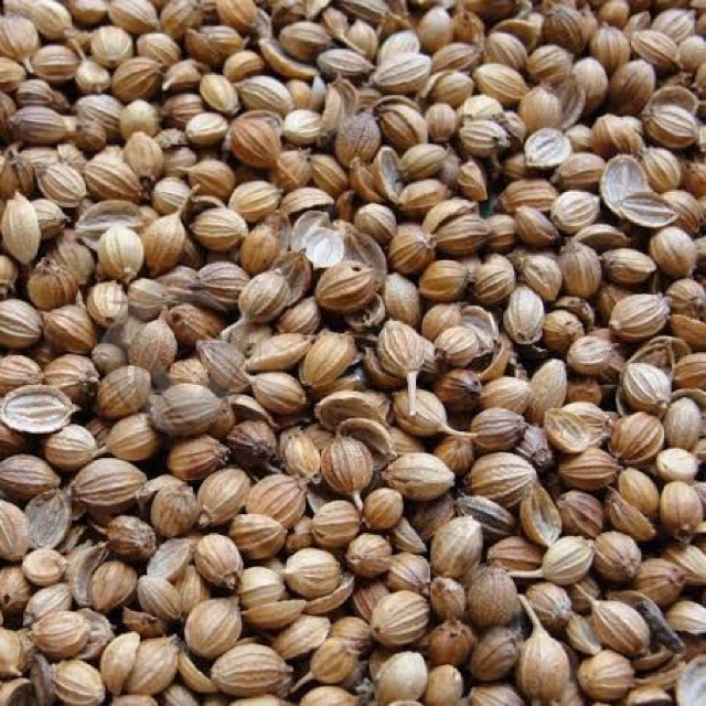 

Ketumbar (Coriander Seeds) 1 ons - bumbu dapur