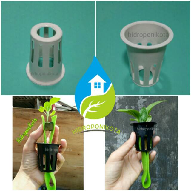 netpot 7 cm putih lubang 1 -  netpot hidroponik