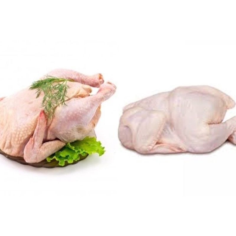 

Ayam negeri per ekor