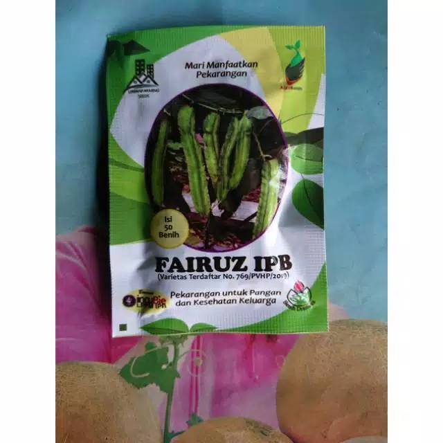 Benih Biji Bibit Sayur Kecipir FAIRUZ IPB isi 50 Biji