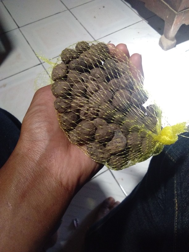 Katak Porang Mini Isi 300-400/kg