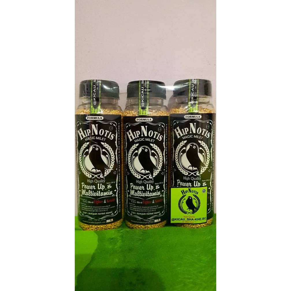 Pakan Lovebird Lomba Hipnotis Buat Dewasa || Lovebird Fighter &Konslet