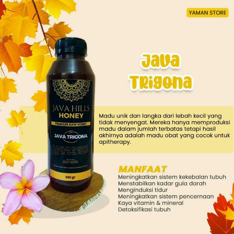 

Madu hutan java trygona javahills honey