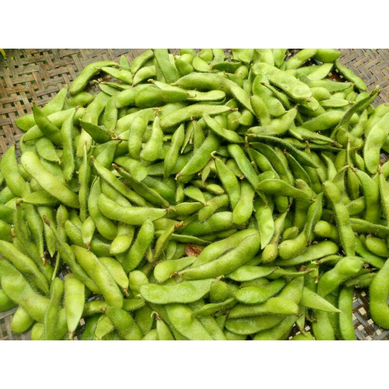 

SAYUR KACANG EDAMAME FRESH