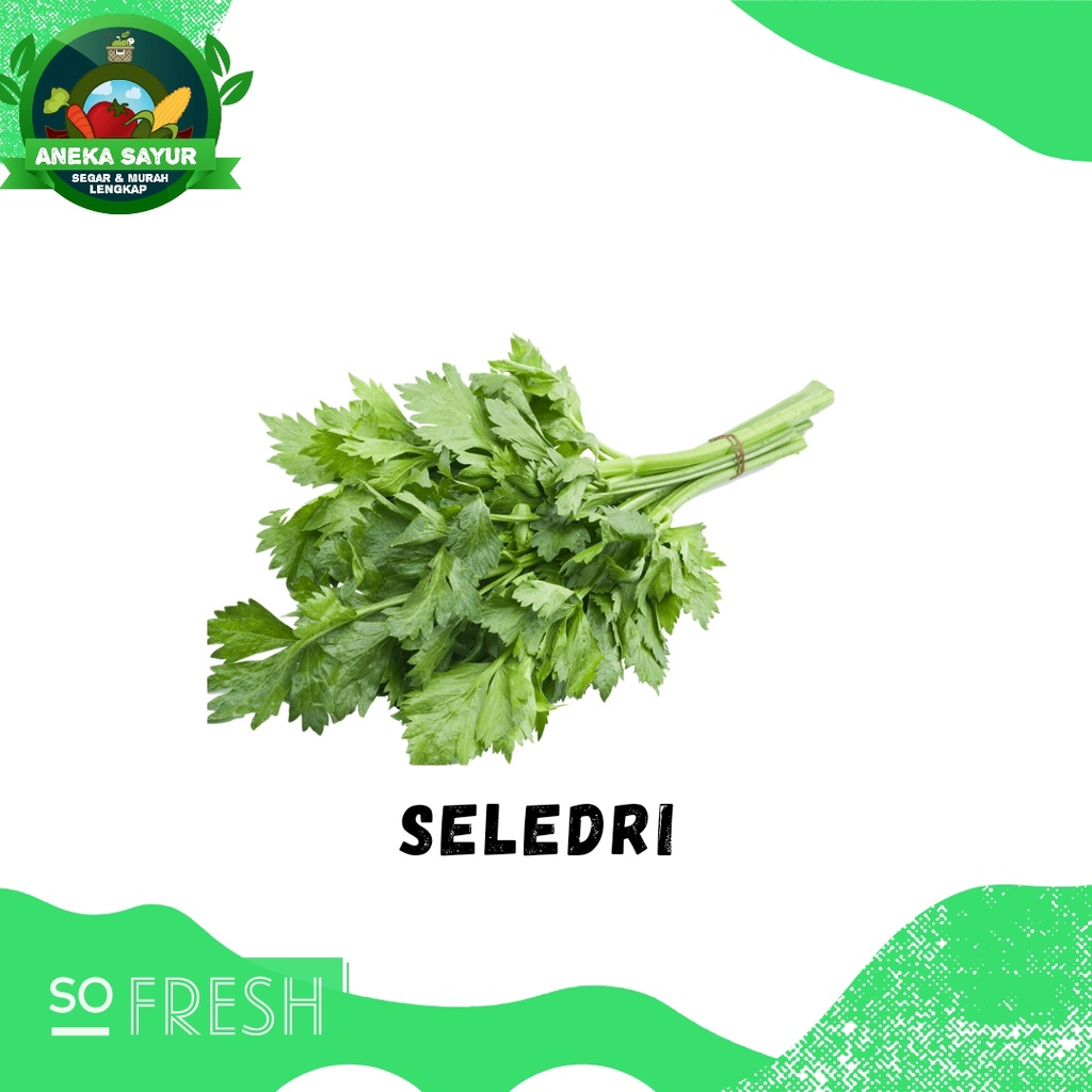 

Seledri