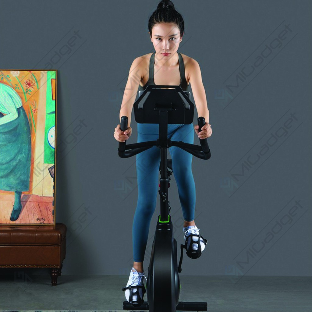 WalkingPad Kingsmith H1 Spinning Bike Static Bike Exercise Bike - Sepeda Statis Sepeda Olahraga