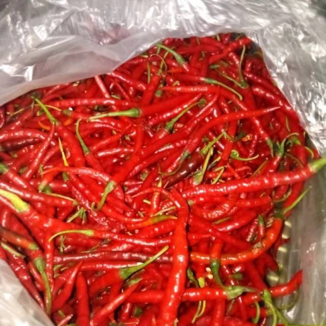 

Cabai merah keriting 500gr