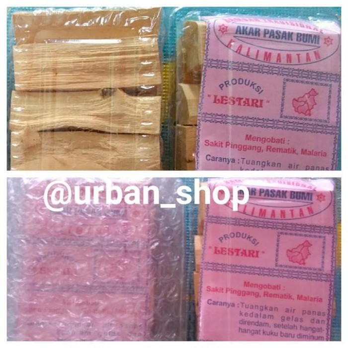 

AKAR_PASAK_BUMI ASLI KALIMANTAN TERMURAH
