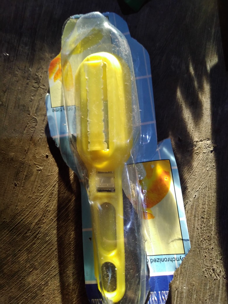 Pembersih Sisik Ikan Fish Skale Skin Scrapper