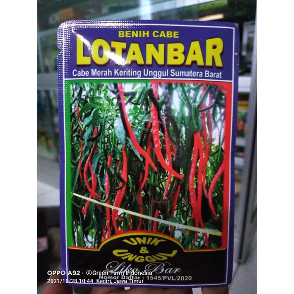 Cabe Lokal Unggul Lotanbar 10gr Original lokal sumatra barat cabe berangkai Tahan Virus