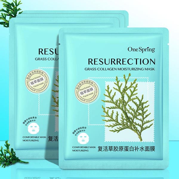 (PLANT EXTRACT) ONE SPRING MOISTURIZING KOREAN FACIAL MASK_Cerianti