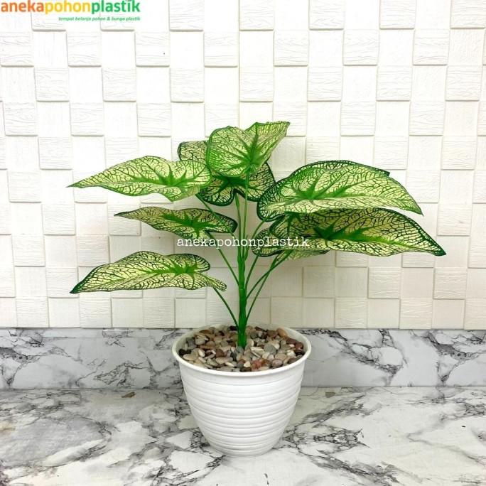 pohon sri rejeki hijau artificial plastik late/pohon sri rejeki murah