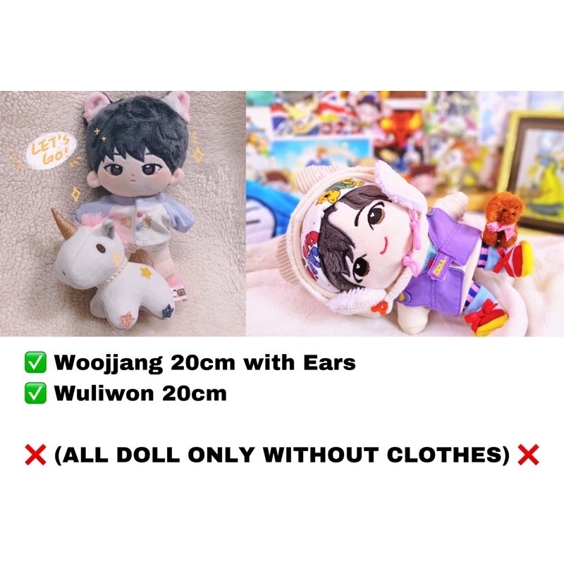 [READY STOCK] Wonwoo SEVENTEEN Doll