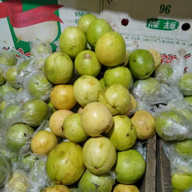 

Jambu merah 1kg