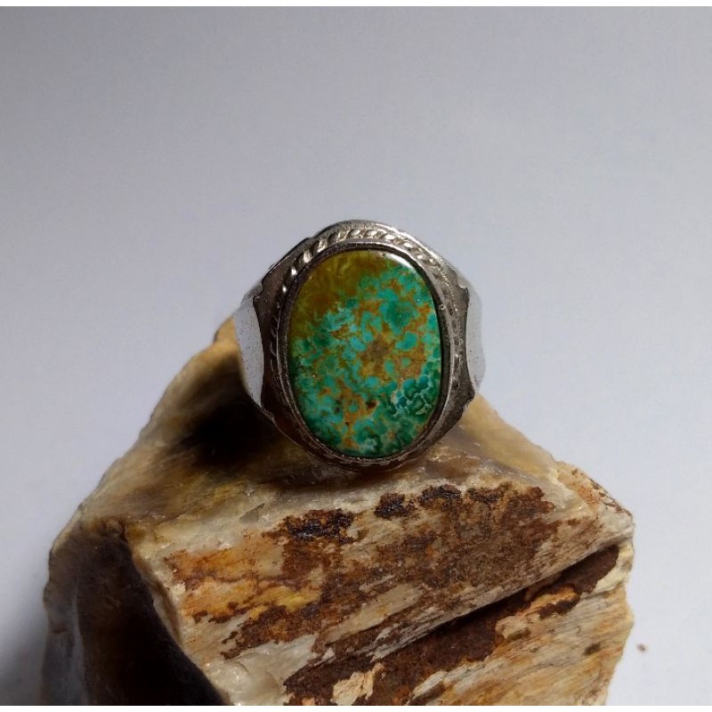 Pirus persia Hijau urat emas