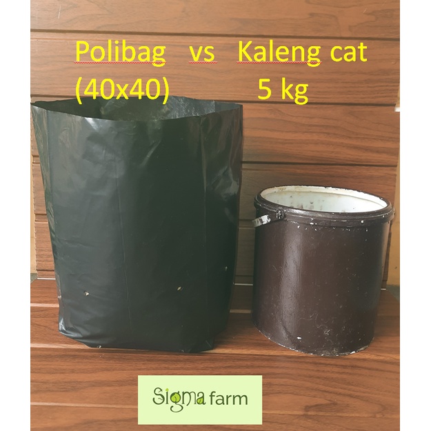 Plastik polibag tebal untuk tanaman (1/2 kg)