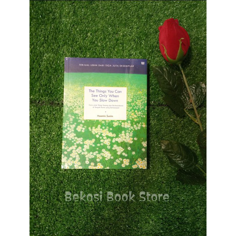 The Things You Can See Only When You Slow Down
