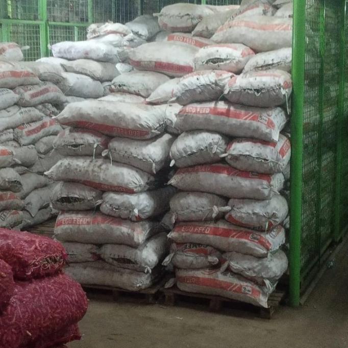 

JAHE MERAH 50KG SDF64164ES