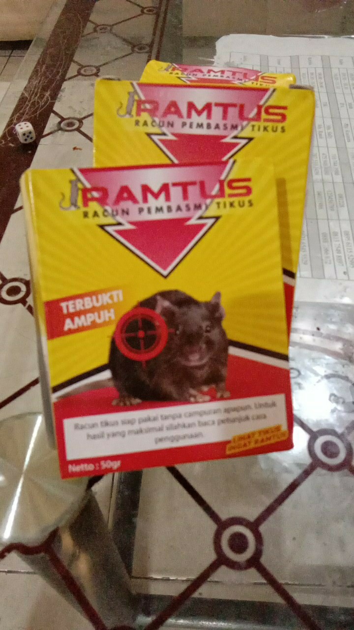 Ramtus Racun Pembasmi Koloni Tikus Paling Ampuh Mati Kering